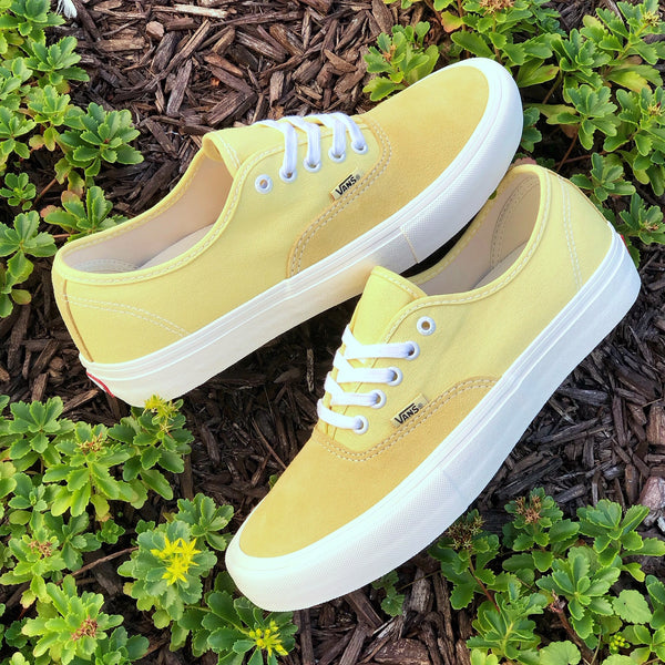 Vans Authentic Pro – The Full Kit - Main Image